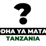 Orodha ya Matajiri Wakubwa Tanzania 2025, Wamepataje Utajiri Huu?