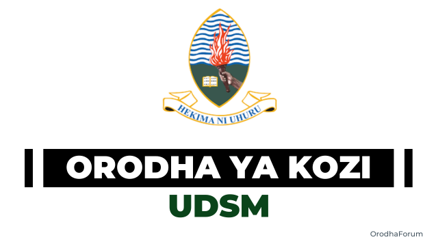 Orodha ya kozi zinazotolewa na Chuo cha UDSM Tanzania 2025