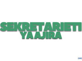 Sekretarieti ya Ajira Katika Utumishi wa Umma