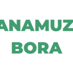 Orodha ya Wanamuziki Bora Afrika Mashariki 2025