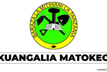 Jinsi ya Kuangalia Matokeo ya Darasa la Saba NECTA 2025