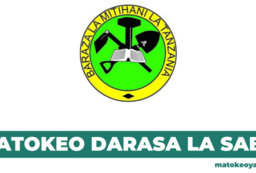 Matokeo ya Darasa la Saba 2025 PSLE 202526