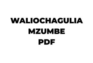 Orodha ya Waliochaguliwa Mzumbe 2025-26 PDF