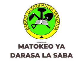 Matokeo ya Darasa la Saba 2025 PDF Results