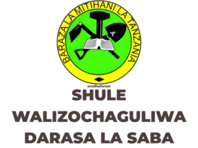 Shule Walizochaguliwa Darasa la Saba 2025 NECTA