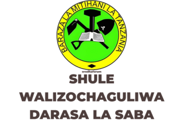 Shule Walizochaguliwa Darasa la Saba 2025 NECTA