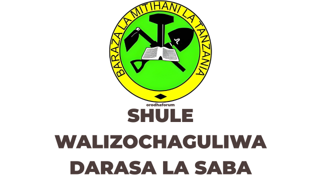 Shule Walizochaguliwa Darasa la Saba 2025 NECTA
