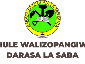Shule Walizopangiwa Darasa la Saba 2025 NECTA