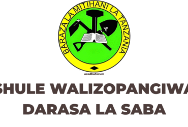 Shule Walizopangiwa Darasa la Saba 2025 NECTA
