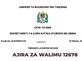 Tangazo la Ajira za Walimu 2025