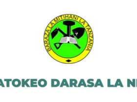 Matokeo Darasa la Nne 2025 NECTA Mkoa