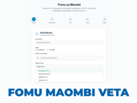 Fomu ya Maombi Kujiunga na YEFFA VETA 2026