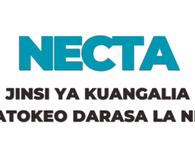 Jinsi ya Kuangalia Matokeo ya Darasa la Nne 2025 NECTA