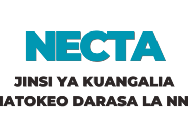 Jinsi ya Kuangalia Matokeo ya Darasa la Nne 2025 NECTA