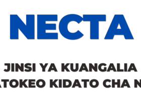 Jinsi ya kuangalia Matokeo ya Kidato cha Nne 2025 NECTA