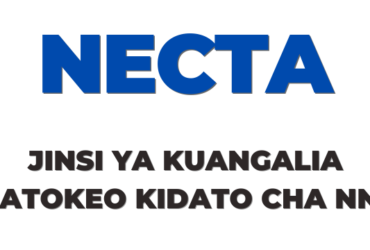 Jinsi ya kuangalia Matokeo ya Kidato cha Nne 2025 NECTA