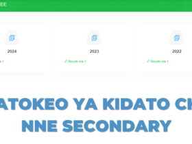 Matokeo ya Kidato cha Nne 2025 NECTA Shule ya Sekondari