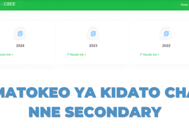 Matokeo ya Kidato cha Nne 2025 NECTA Shule ya Sekondari