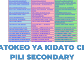 Matokeo ya Kidato cha Pili 2025 Shule ya Sekondari