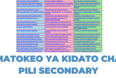 Matokeo ya Kidato cha Pili 2025 Shule ya Sekondari