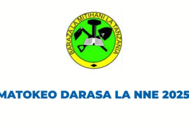 Matokeo ya Darasa la Nne 2025 NECTA Haya Hapa Yote